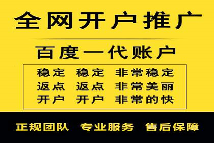 百度竞价广告投放策略：案例分析及效果评估